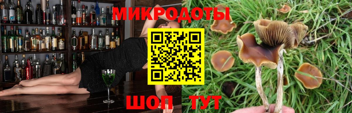 Псилоцибиновые грибы GOLDEN TEACHER Вышний Волочёк