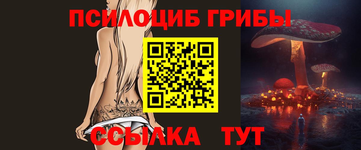 Вышний Волочёк  Галлюциногенные грибы мицелий  как найти   Вход с VPN 