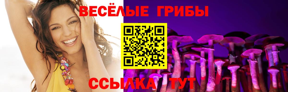 Псилоцибиновые грибы мухоморы  Вышний Волочёк 