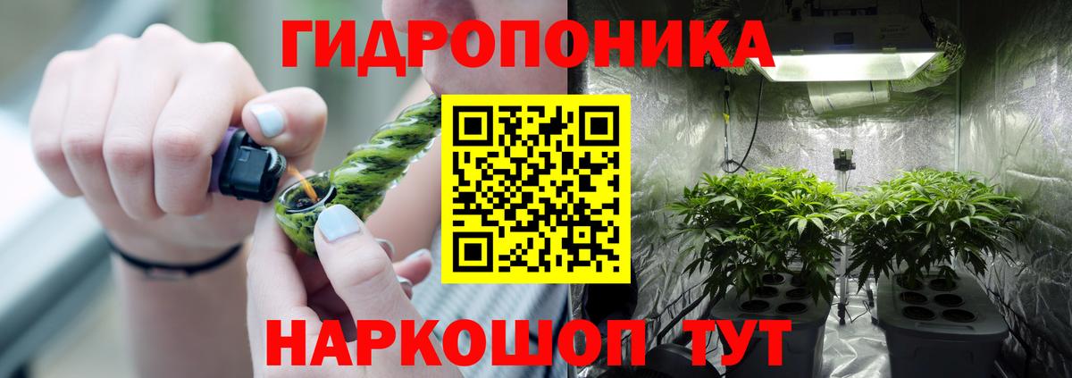 Бошки марихуана Amnesia Вышний Волочёк